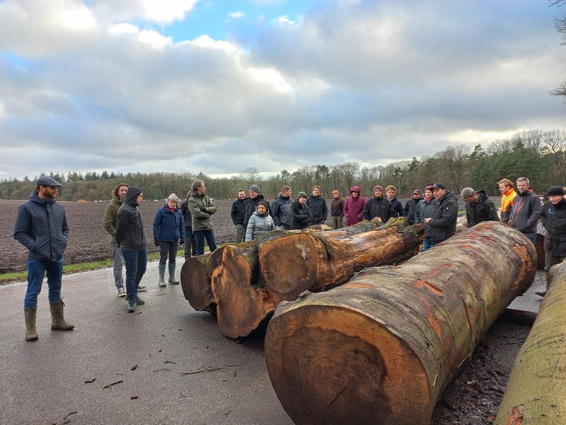 Excursie langs de kavelplaats van de Rondhoutveiling (2022)