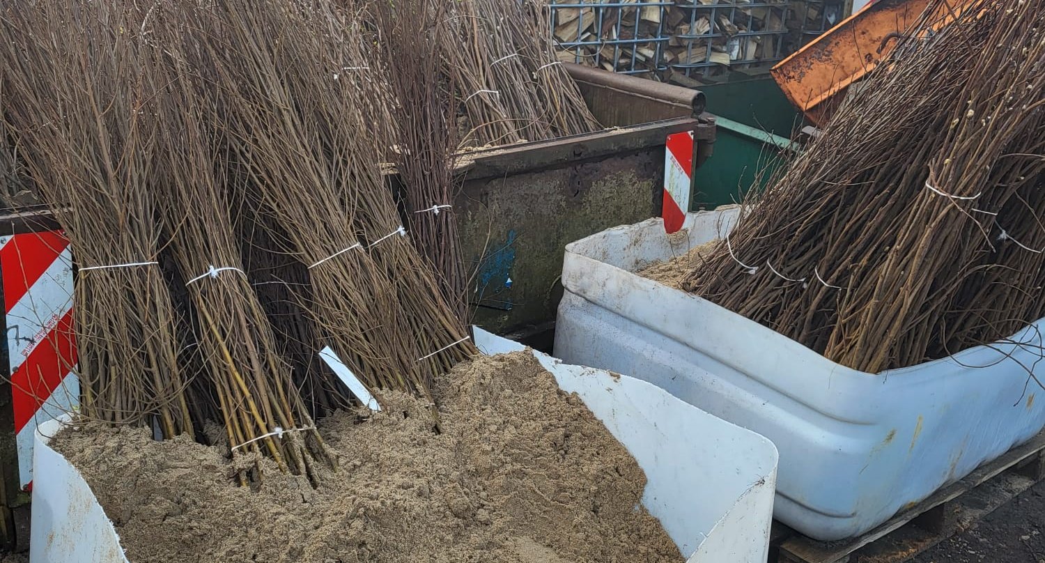 water ressevoir met ingekuilde plantsoen