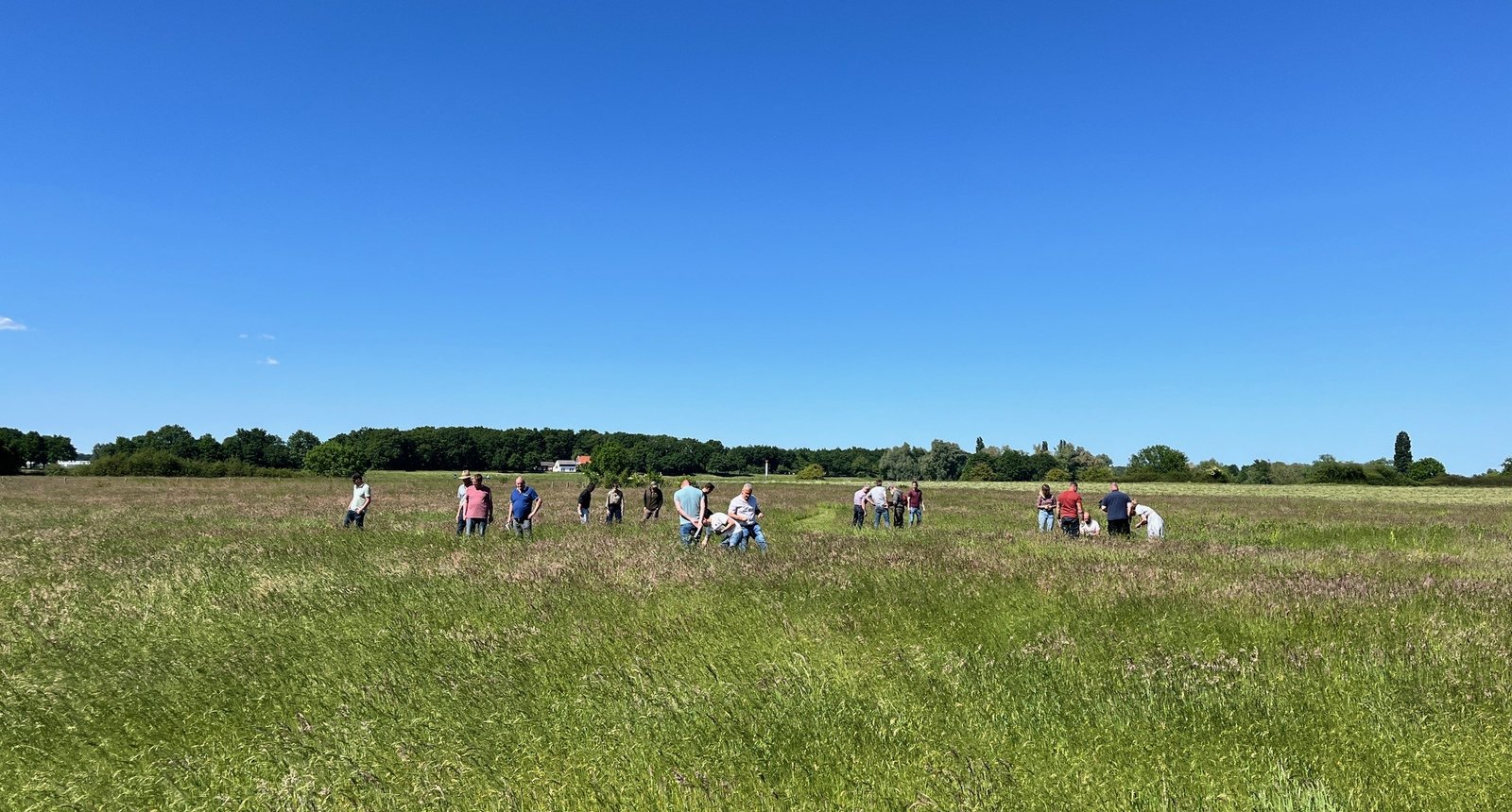 Graslandcursus-Reuver2