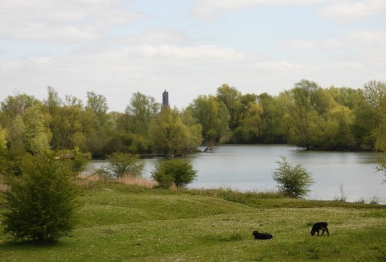 Arnhem-6