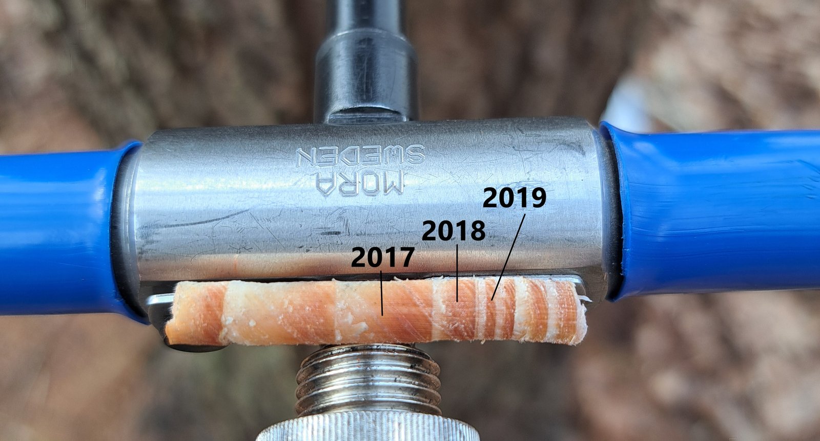 foto lariks droogte robbin met jaartallen