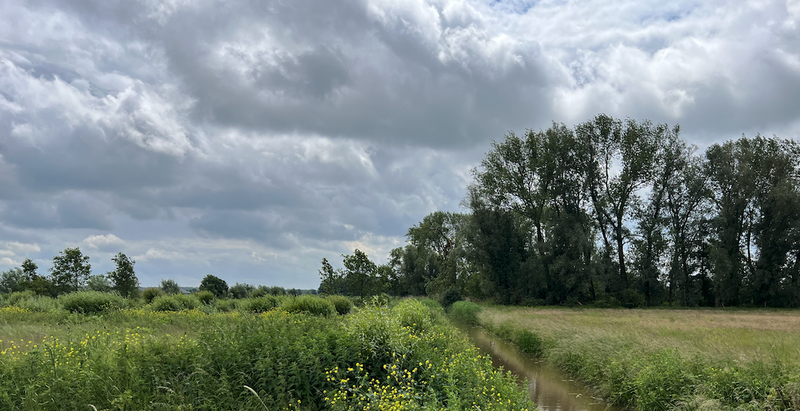 Landschap-Jamin
