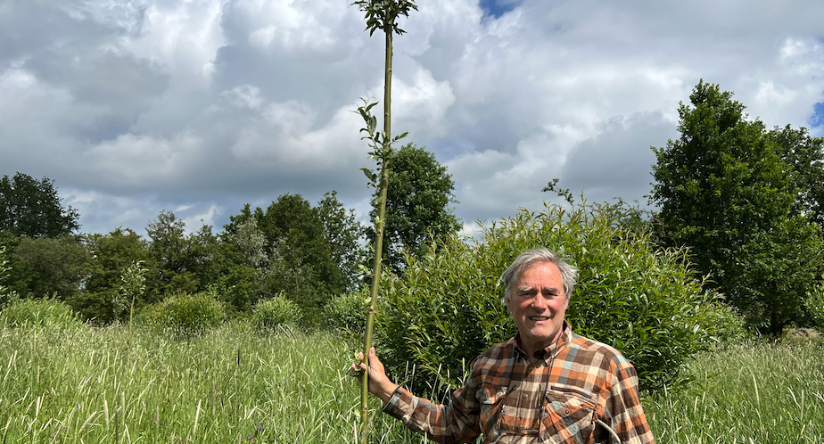 Wilgengriend-aanplant-Marrie