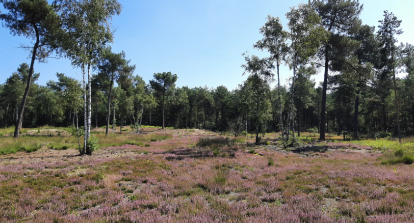 huijbergen-1