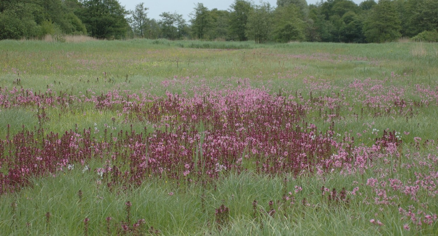 Natuur