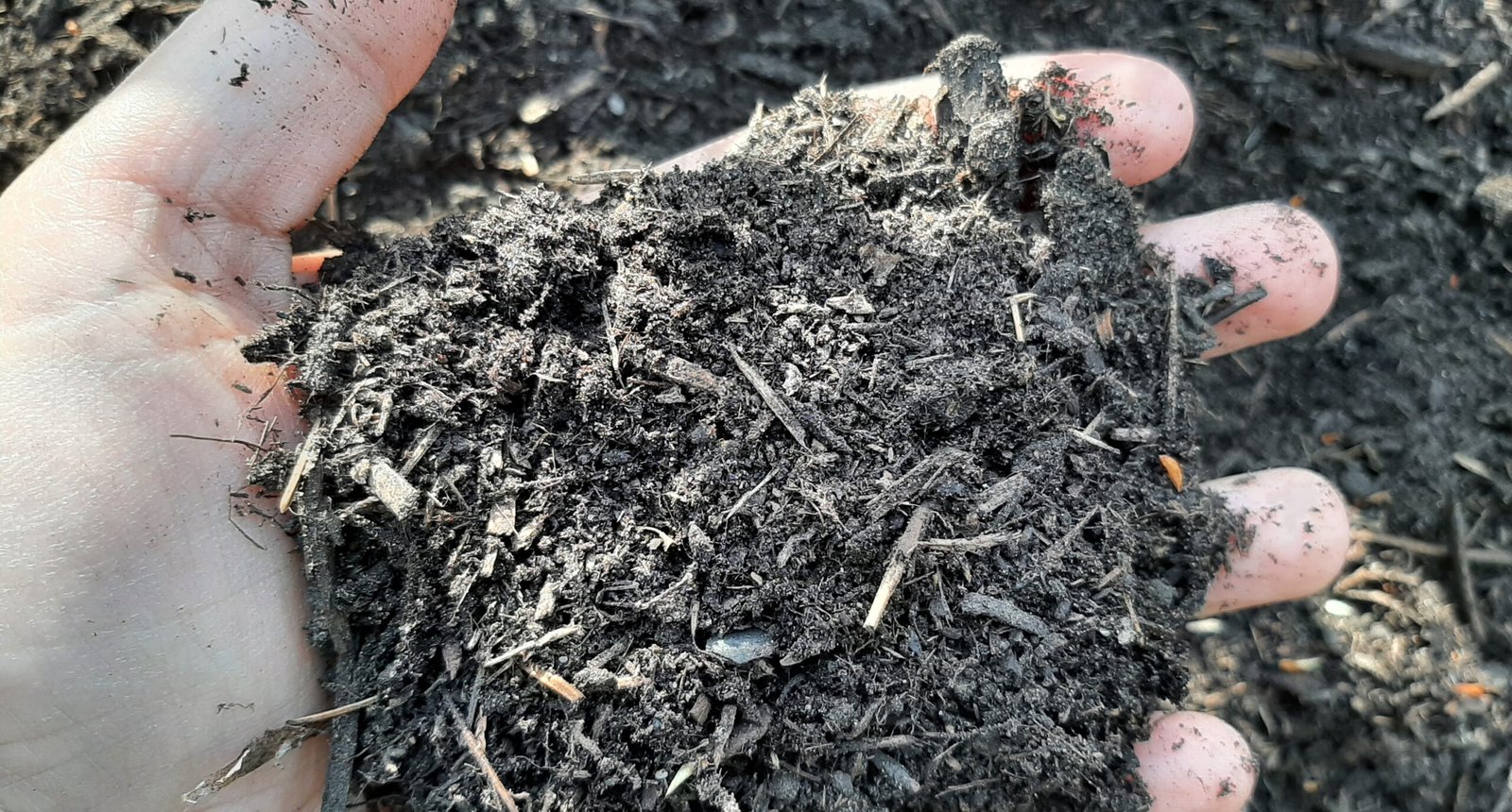 compost-scaled