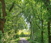 Regiobijeenkomst Zuid-Limburg 2