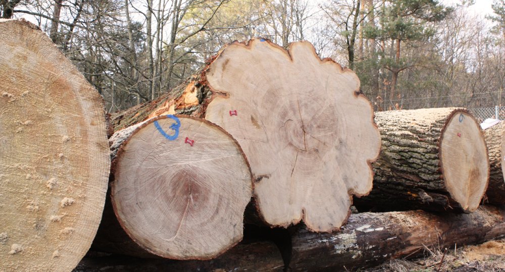 Hout RHV 2026