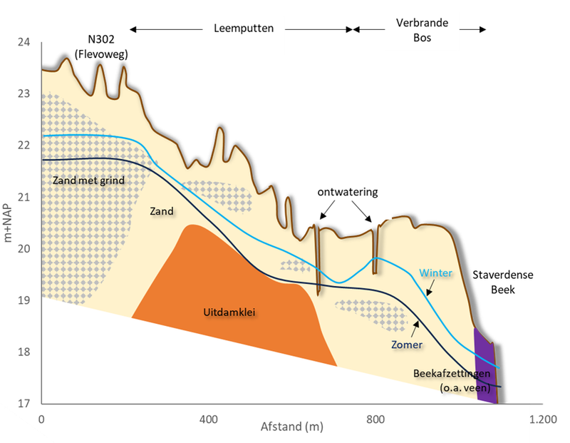 Ter hoogte van de Leemputten en het Verbrande Bos zit de Uitdamklei ondiep.